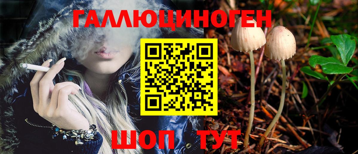 Псилоцибиновые грибы Psilocybine cubensis Ревда